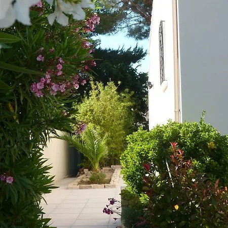 La Du Petit Port Martigues